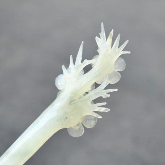 Green Icy Plum Blossom Carved Hairpin - Serpentine Jade Hair Stick