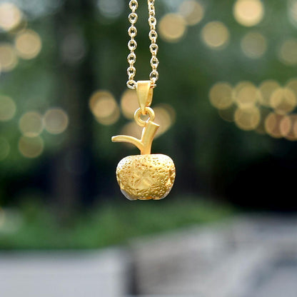 Chinese Fortune Bag Apple Charm Necklace - Stainless Steel Necklace